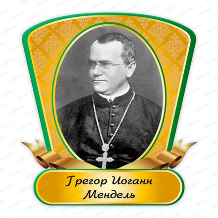 Портрет фигурный ГРЕГОР ИОГАНН МЕНДЕЛЬ Gregor Johann Mendel 2365