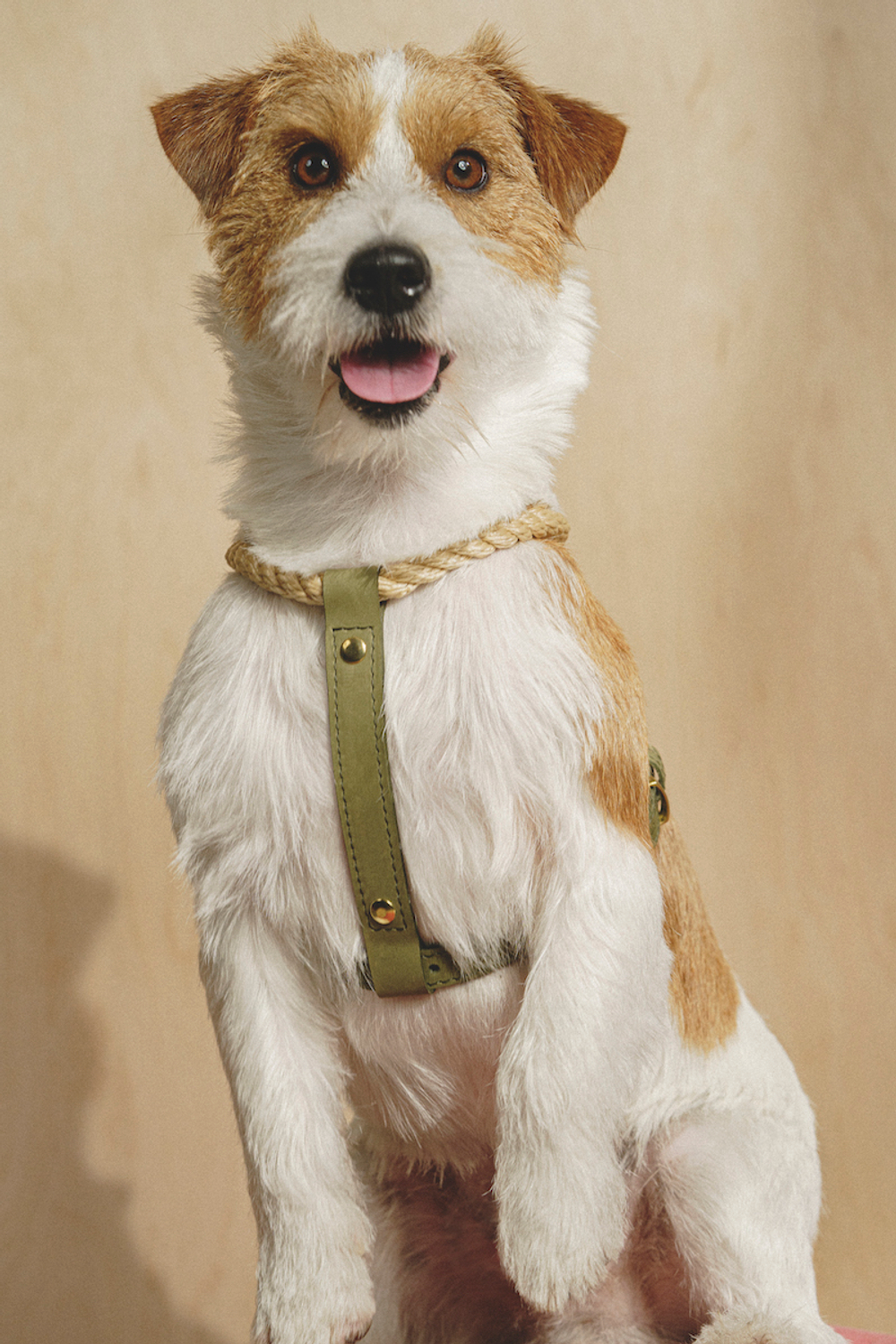 Шлейка "Кантри-пони" Зеленый