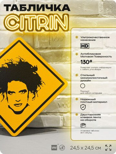 Табличка декоративная "The Cure, Роберт Смит, Robert Smith" на дверь и стену, прикольная штука в подарок, декоративный знак, 24,5х24,5 см, пластиковая, Айдентика Технолоджи