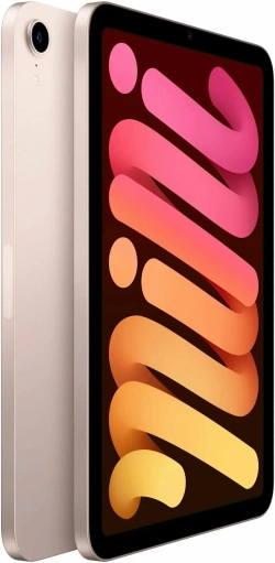 iPad mini (2021) 256GB