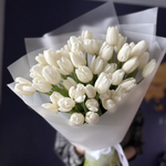 Букет из 49 белых тюльпанов
