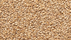 475b4af4d2a8d5f60694aea8c2fbfbab