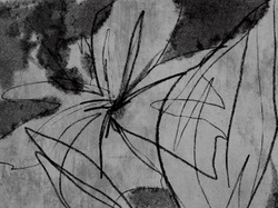 Коллекция ROCKART