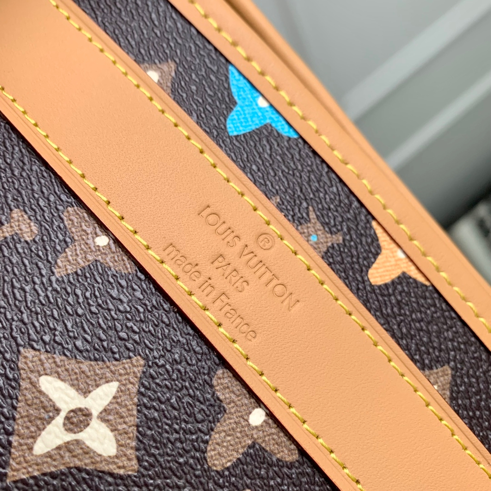 Louis Vuitton Dog Bag
