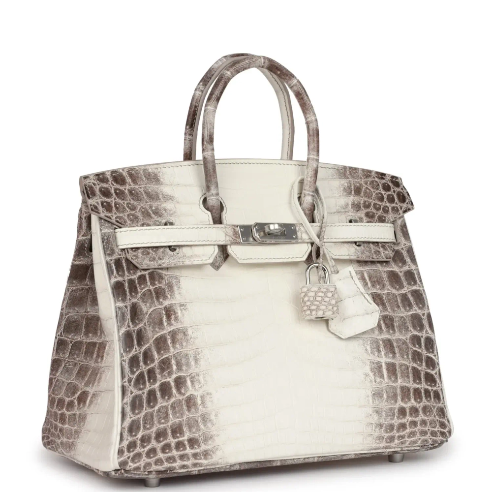 Сумка из коллекции Y с палладиевой фурнитурой Hermès Birkin