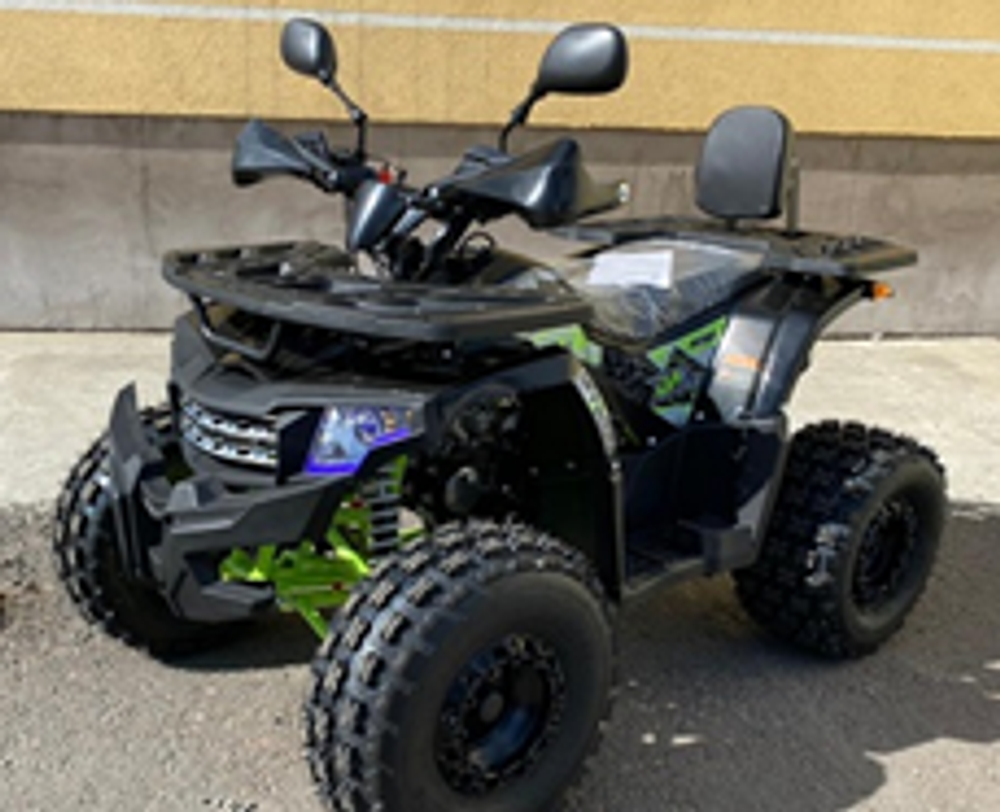 Квадроцикл PROMAX WILD 2.0 190 LUX