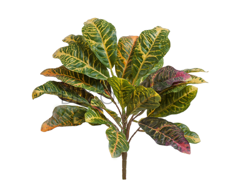 Кротон куст зелёно-жёлто-розовый в-33 см (Sensitive Botanic) 12/96 20.1144GYP
