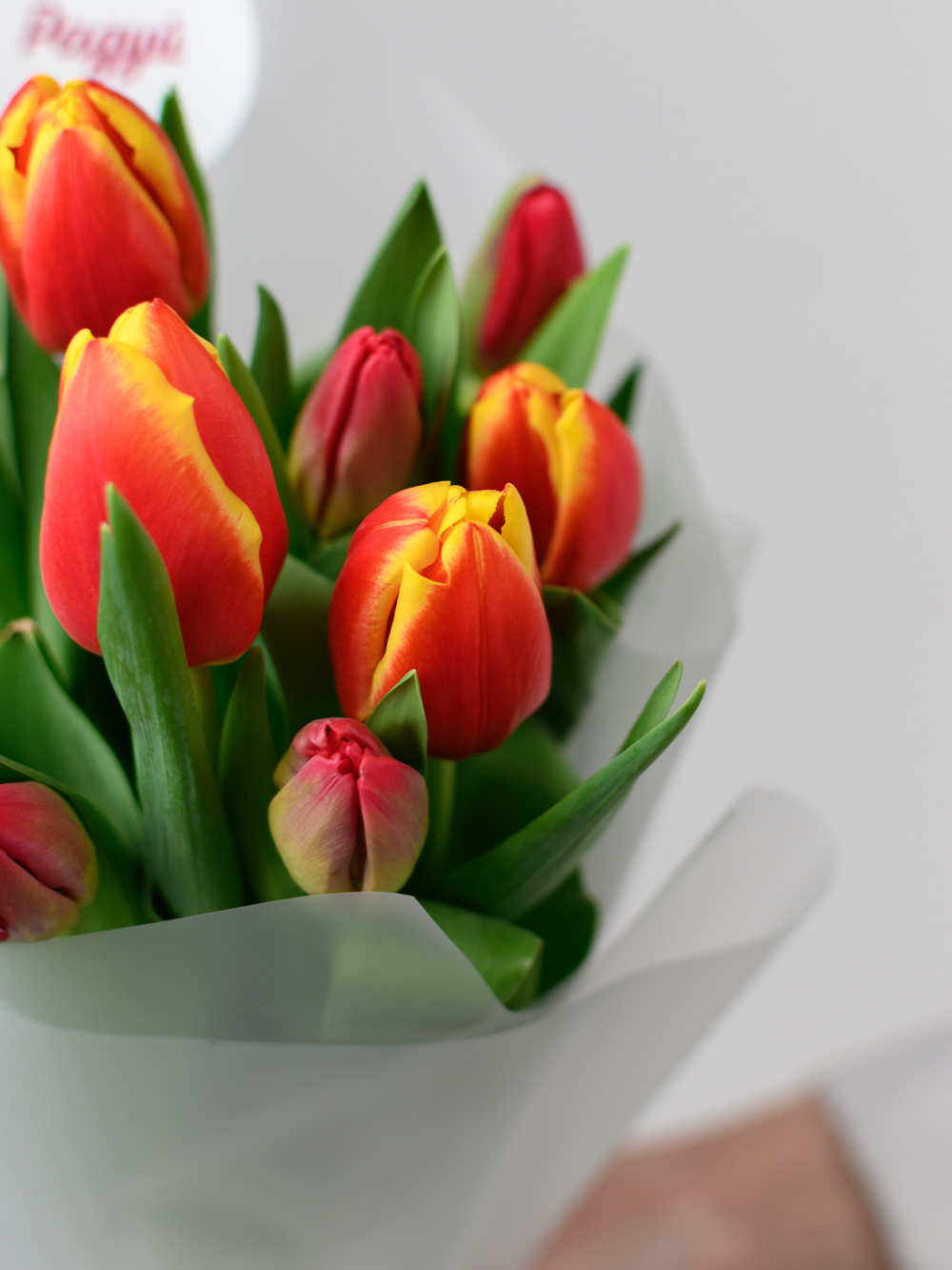 Тюльпаны микс