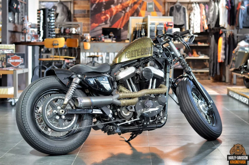 Harley-Davidson Forty-Eight (2013)
