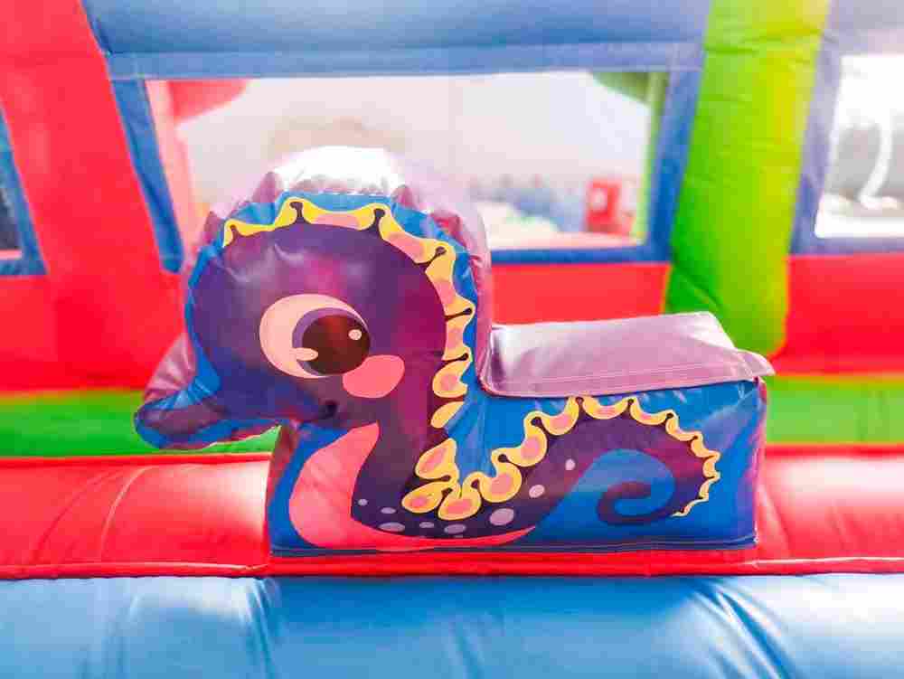 Коммерческий надувной батут «Крабиссимо» 11*9*7 м