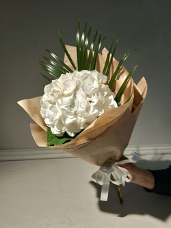 Комплимент с гортензии небесно-голубого цвета (М0030)