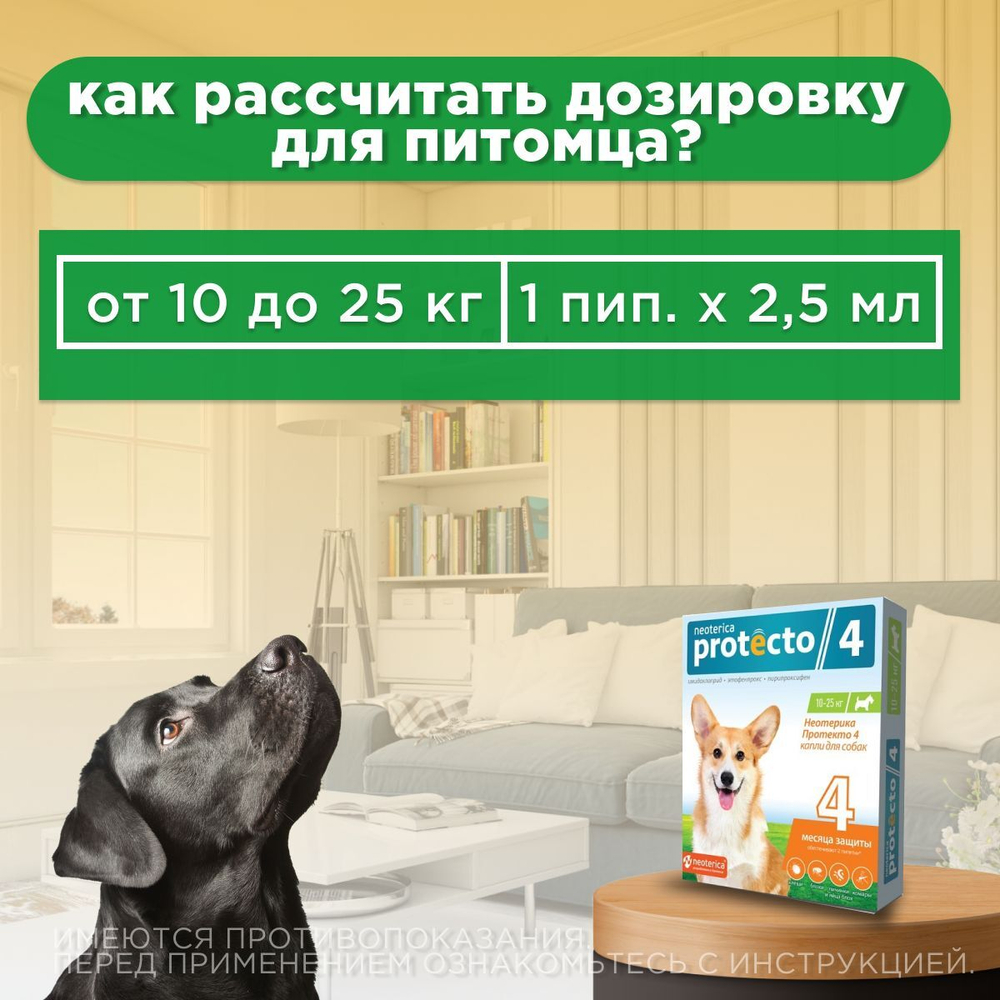 Капли на холку от клещей, блох и комаров для собак 10-25 кг Protecto (Neoterica), 2 пипетки. Имидаклоприд/Этофенпрокс/Пирипроксифен