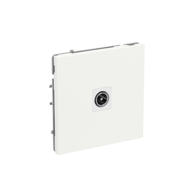 Розетка TV одиночная, KANT, белая магнолия