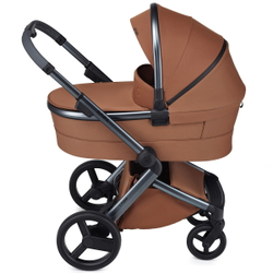 Детская коляска Anex l/type 3 в 1 Hazel