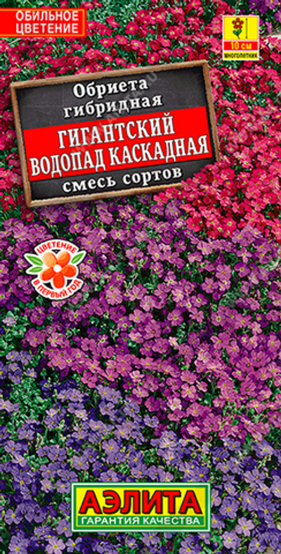 Обриета Гигантский водопад каскадная, смесь сортов