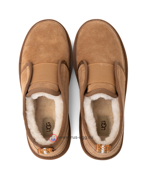 NEUMEL FLEX Chestnut