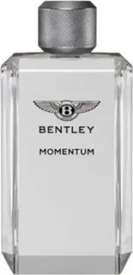 Мужская парфюмерия Bentley Momentum EDT 100 мл