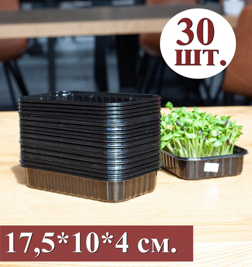Лотки для выращивания черного цвета 30 штук, 175*100*40 (дно 165*95), пластиковые контейнеры, лотки для выращивания микрозелени, контейнеры для проращивания рассады, вес 10гр