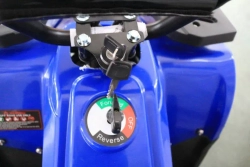 Электроквадроцикл Green Camel Гоби K24 (36V 800W R6 Цепь)