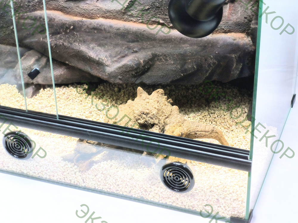 Полный комплект для Бородатой агамы. Террариум 90х50х50 и всё необходимое для содержания.