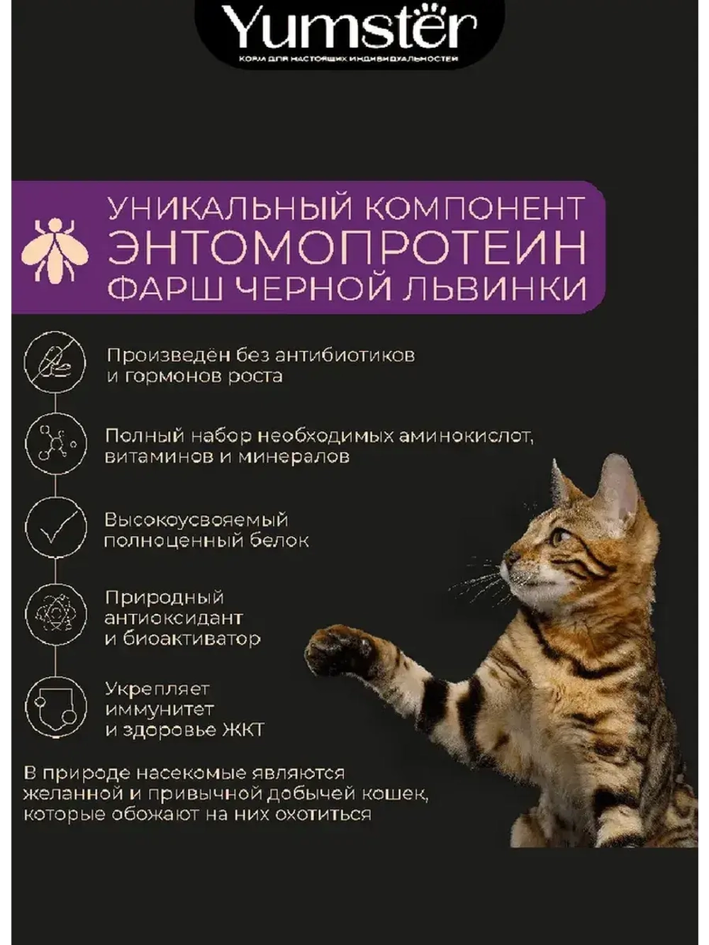 Влажный корм для взрослых кошек 85 г х 36 шт.