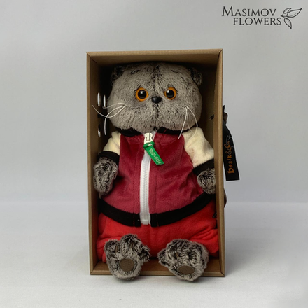 Басик в спортивной курточке и штанах