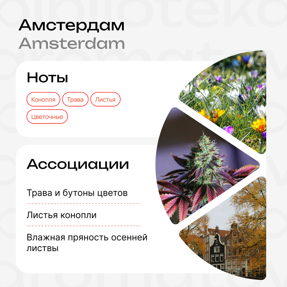 Амстердам