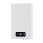 Котел газовый настенный E.C.A. PROTEUS PLUS BLUE 24 HM NG (двухконтурный, закрытая камера сгорания)