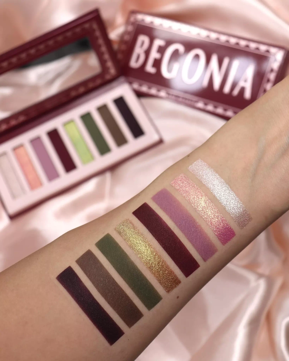 Ace Beaute Begonia Palette