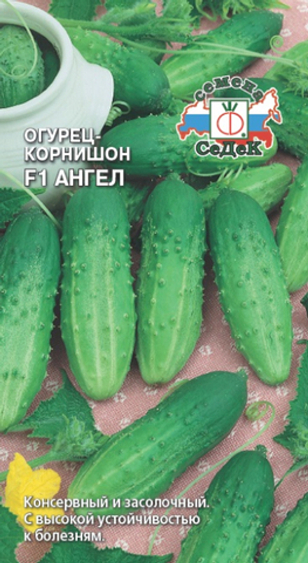 огурец Ангел F1