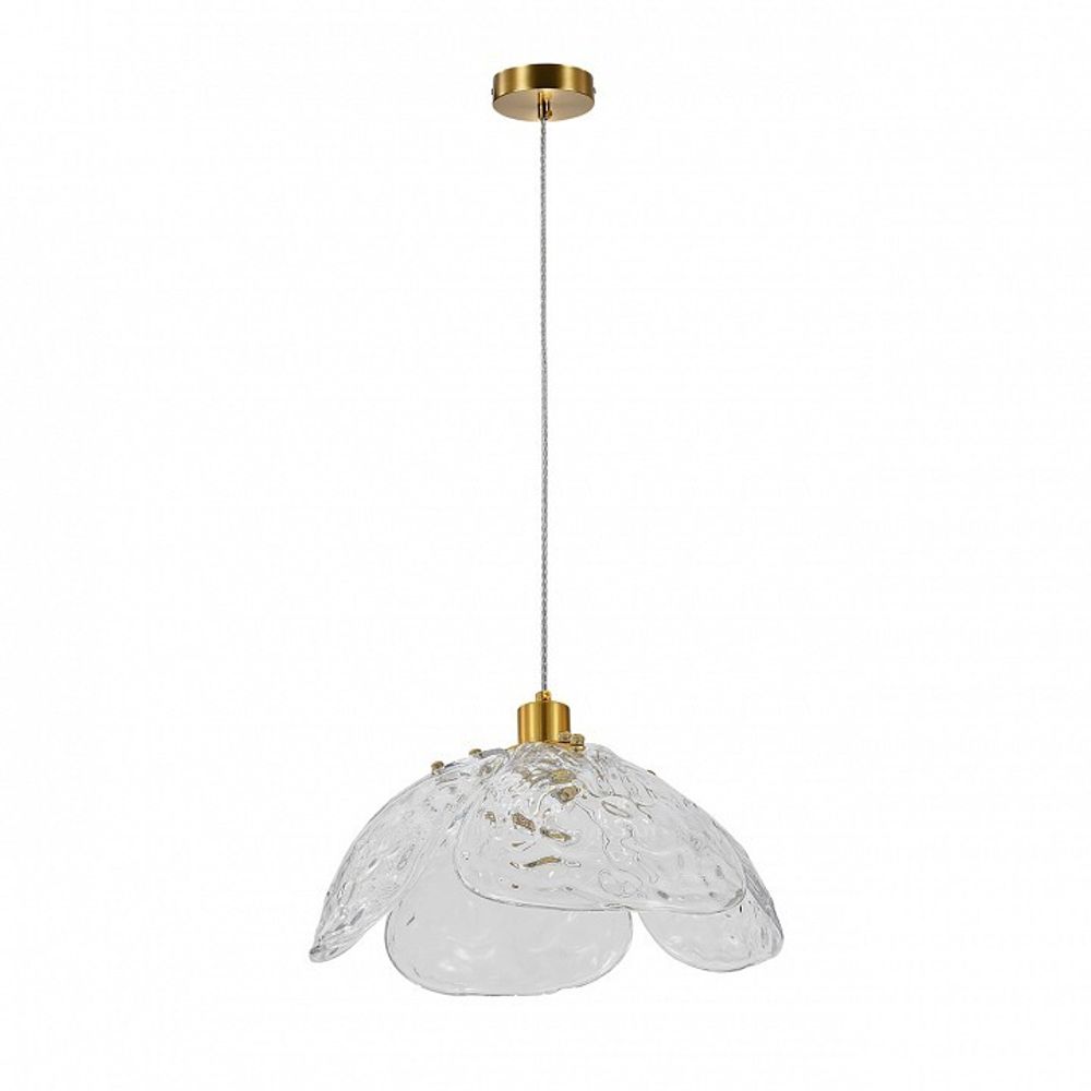 Подвесной светильник Indigo Amore 11051/1P Clear