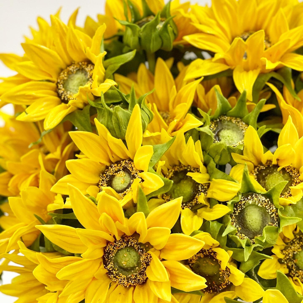Подсолнух, букет из 5 шт.
