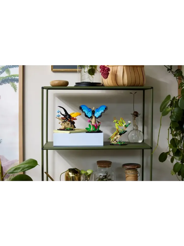 Конструктор Ideas 21342 Коллекция насекомых