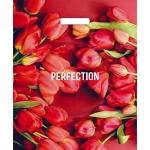 Пакет ПЭ с вырубной ручкой 38+3Артпласт глянец (Совершенство) Р (комплект 25 шт)