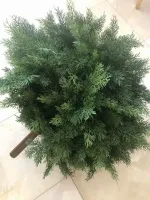 искусственная шаровидная туя