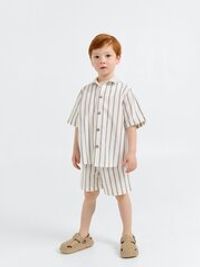 Шорты хлопковые "Полоска Уголь"