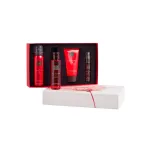 Подарочный набор RITUALS THE RITUAL OF AYURVEDA SMALL GIFT SET