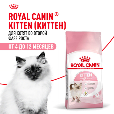 Royal Canin Kitten Киттен Корм сухой сбалансированный для котят в период второй фазы роста до 12 месяцев 300г