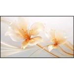 Экран для проектора Xgimi P165S