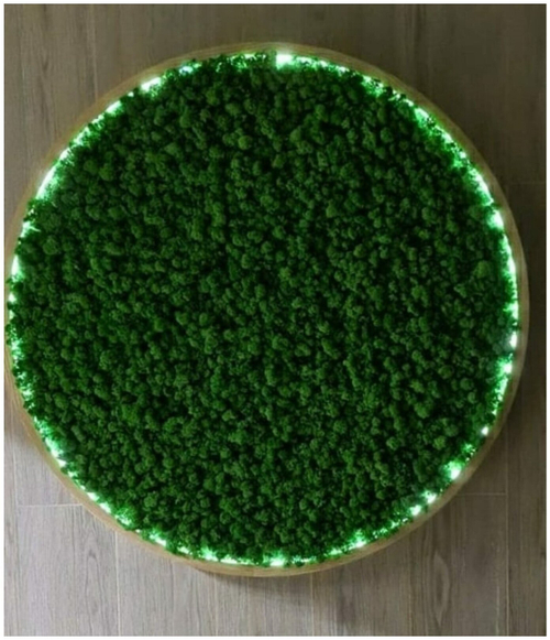 Круглое панно из стабилизированного мха с подсветкой в деревянной раме, диаметр 60см