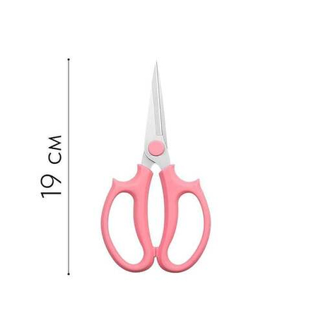 Ножницы с пластик ручками (19см)