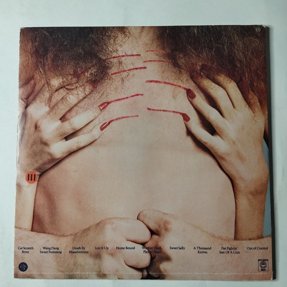 Винтажная виниловая пластинка LP Ted Nugent Cat Scratch Fever (Holland 1977)