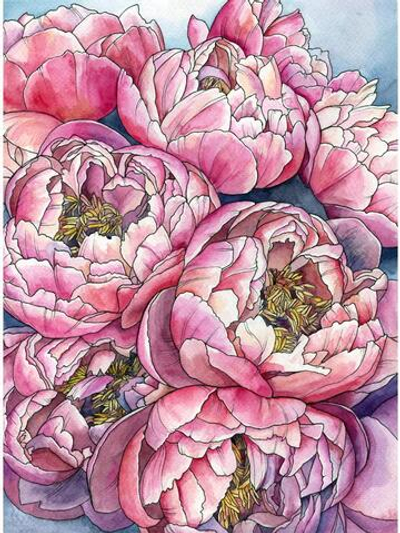 Картина по номерам 22х30см. "Букет пионов" 16цв. (Арт. Х-4094)