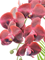 Искусственные Орхидеи бордовые 2 ветки 55см в кашпо