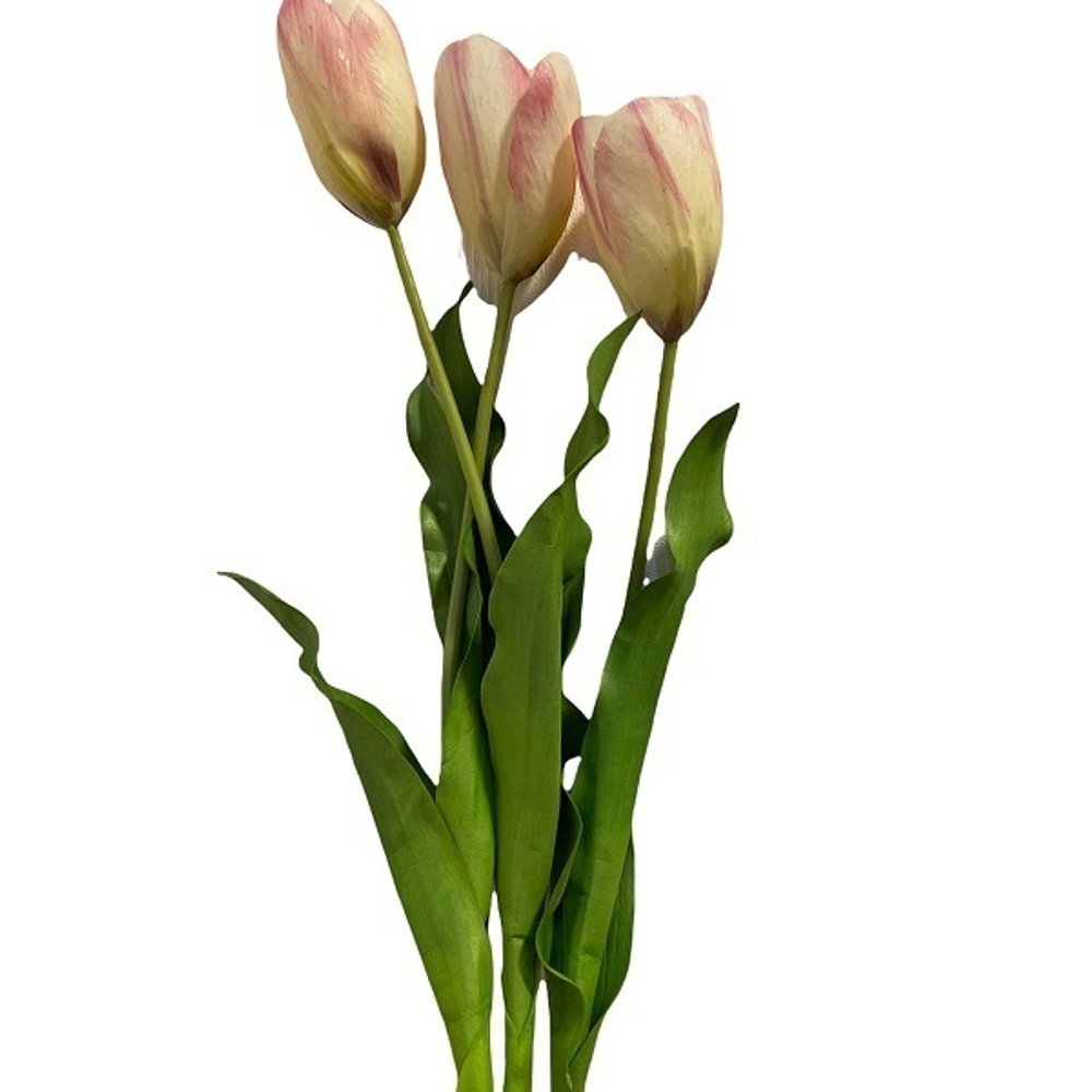 Тюльпан светло-розовый [Арт. 12074]