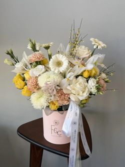 Дыхание весны коллекция Spring 26