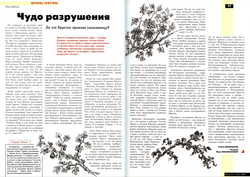 Журнал "Фома" № 1 (24) январь 2005г.