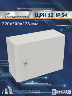 Корпус щита распределительного навесного ЩРН-12 (220х300х125) IP54 , металл