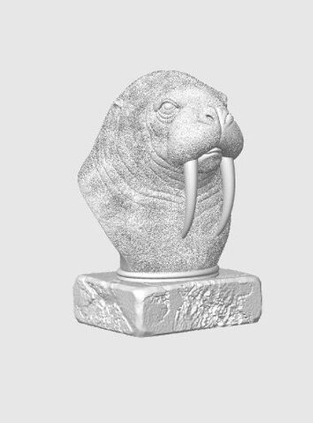 Морж