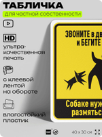 Табличка прикольная для частной территории "Звоните в дверь и бегите", на дом, для участка, организаций и частных территорий, предупреждающая, 40х30 см, Silver Plane x Айдентика Технолоджи